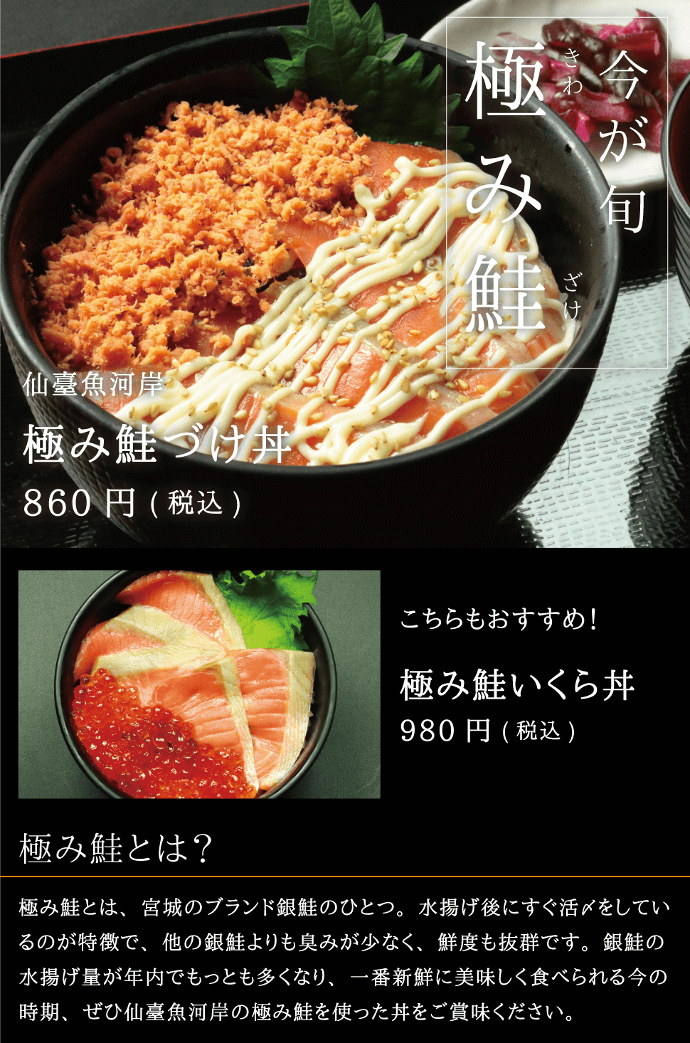 仙臺魚河岸 今が旬宮城のブランド銀鮭 極み鮭 極み鮭漬け丼 極み鮭いくら丼
