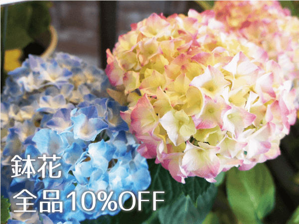 img_イーストガーデン