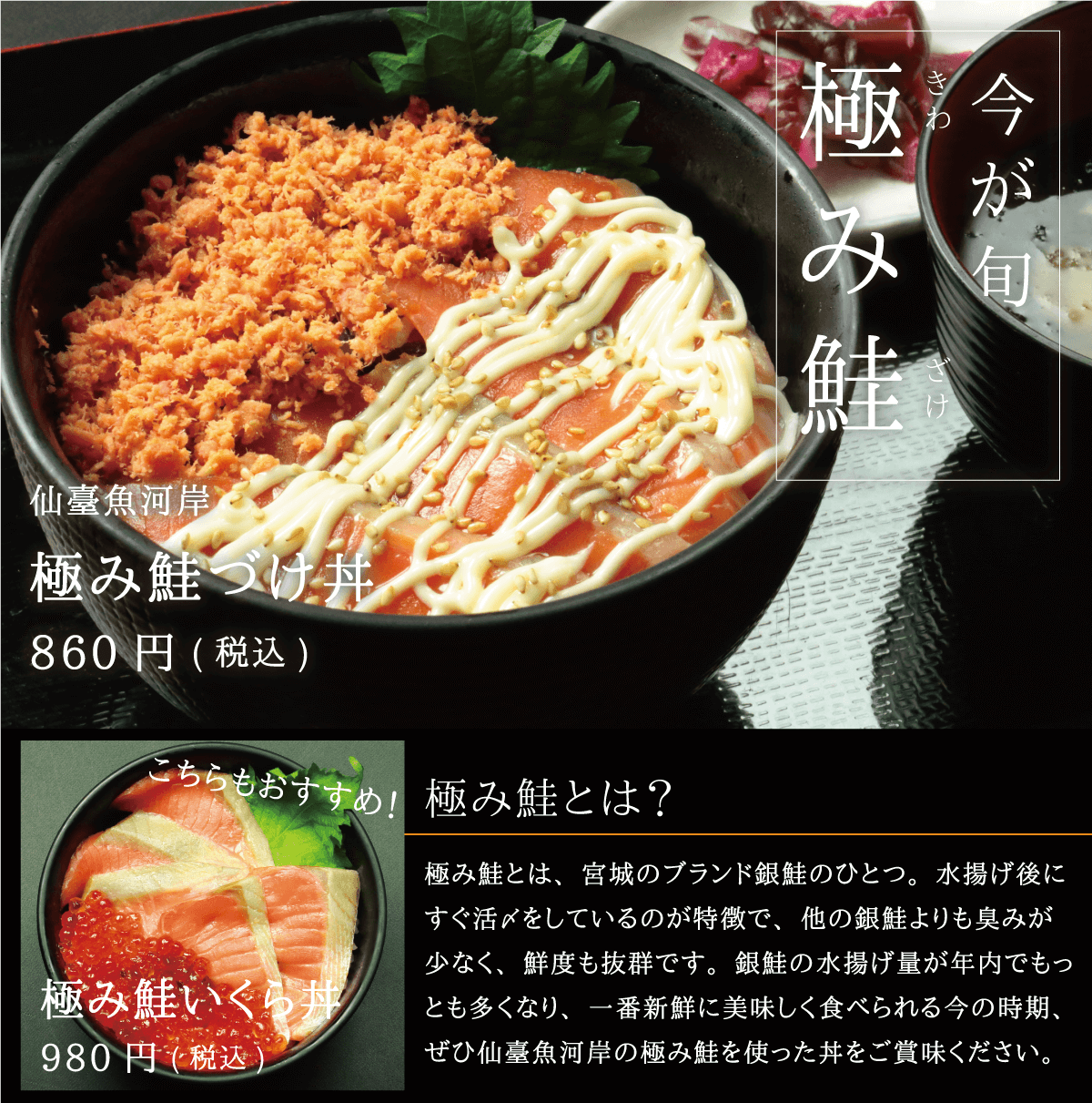 仙臺魚河岸 今が旬宮城のブランド銀鮭 極み鮭 極み鮭漬け丼 極み鮭いくら丼