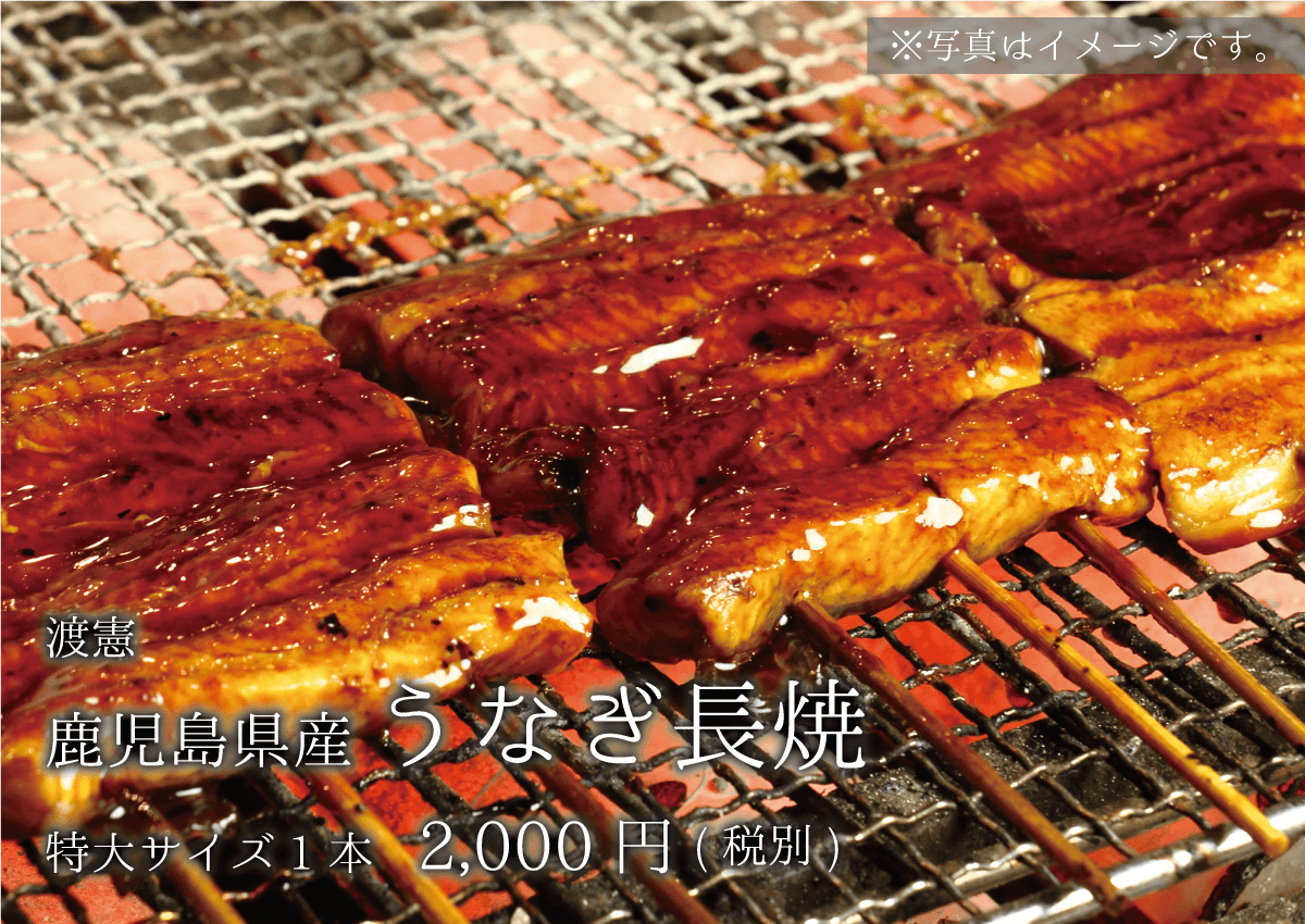 渡憲 鹿児島県産うなぎ長焼 特大サイズ1本 2000円