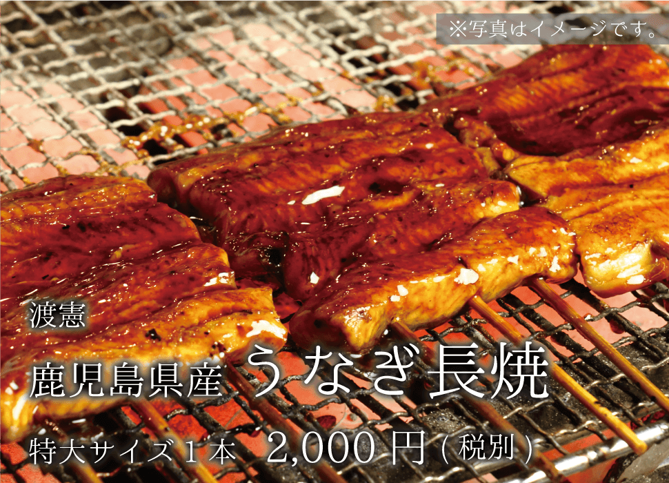 渡憲 鹿児島県産うなぎ長焼 特大サイズ1本 2000円