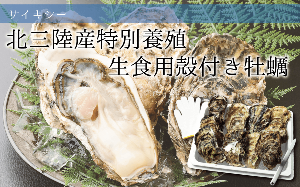 北三陸産特別養殖 生食用殻付き牡蠣