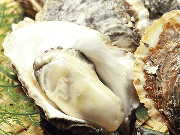 北三陸産特別養殖 天然岩牡蠣