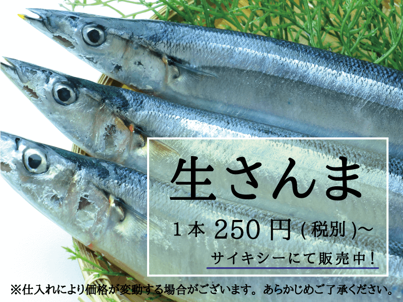 サイキシー 生さんま 250円〜