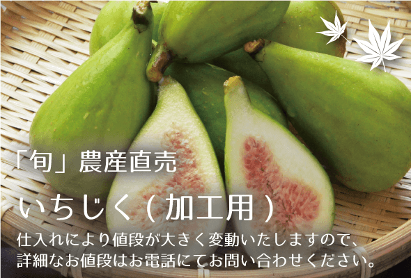 旬農産直売 いちじく(加工用)
