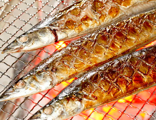 さんま サンマ 秋刀魚