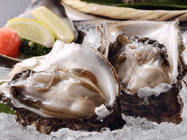 生食用真牡蠣