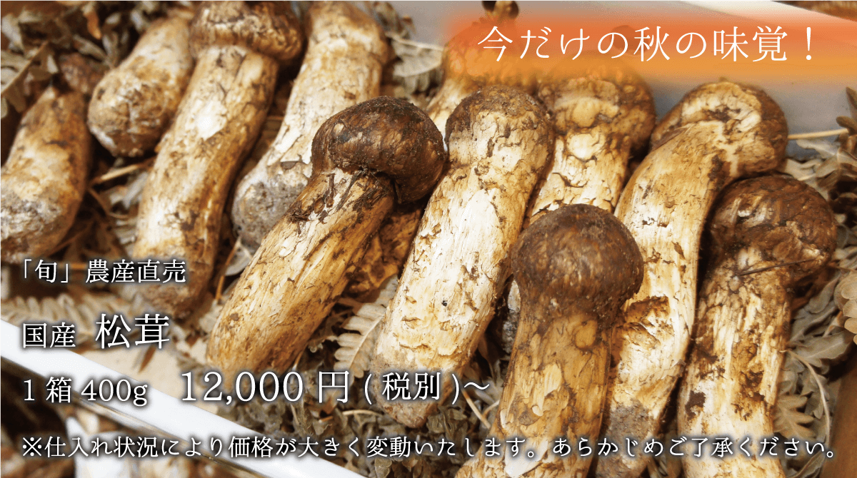 国産 松茸 1箱400g 12000円〜