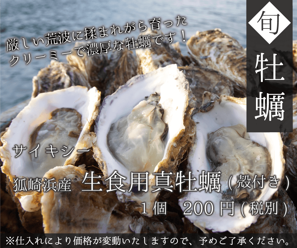 サイキシー 石巻狐崎浜産 生食用真牡蠣(殻付き)