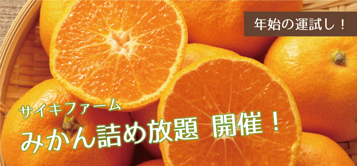 サイキファーム みかん詰め放題