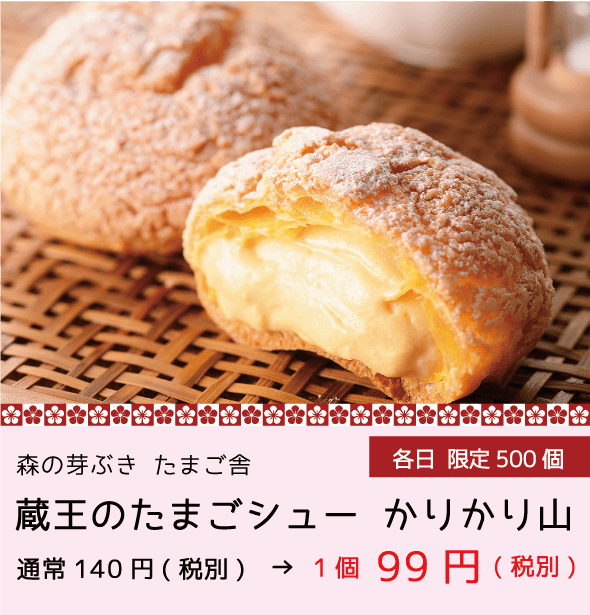 森の芽ぶきたまご舎 蔵王のたまごシューかりかり山 99円