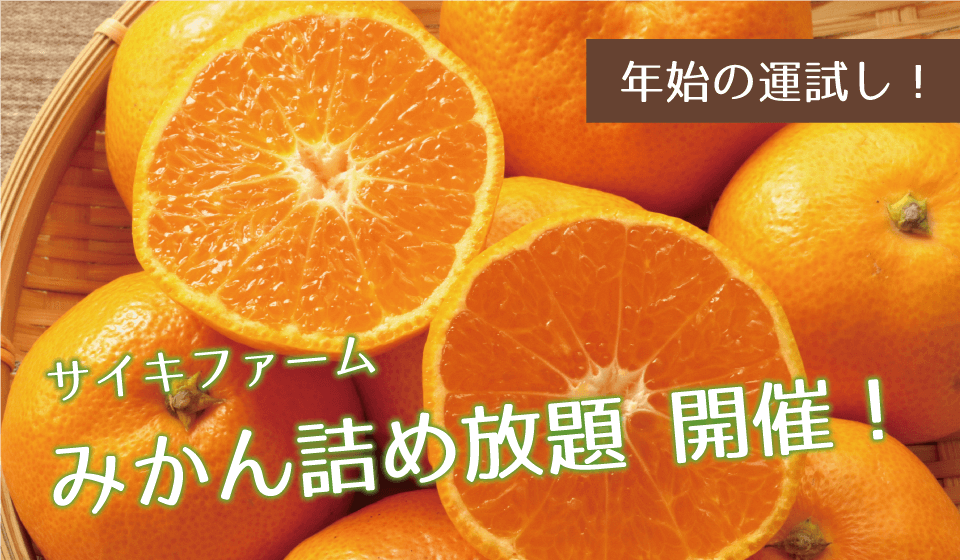 サイキファーム みかん詰め放題