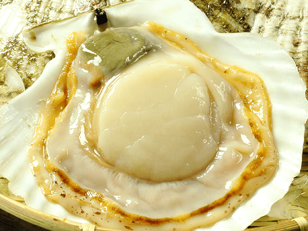 北三陸産ホタテ