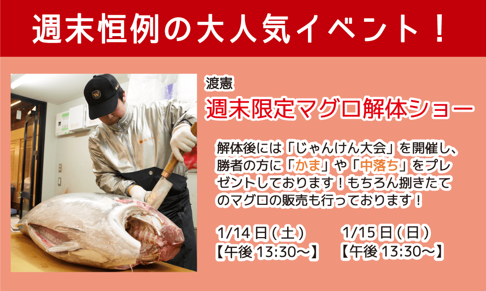 週末恒例の大人気イベント！渡憲 週末限定マグロ解体ショー