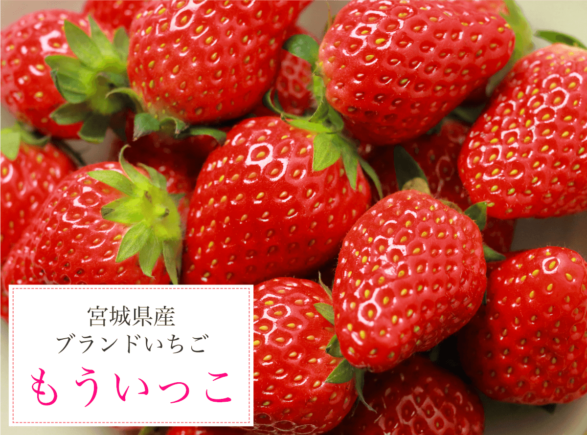 宮城県産ブランドいちご もういっこ