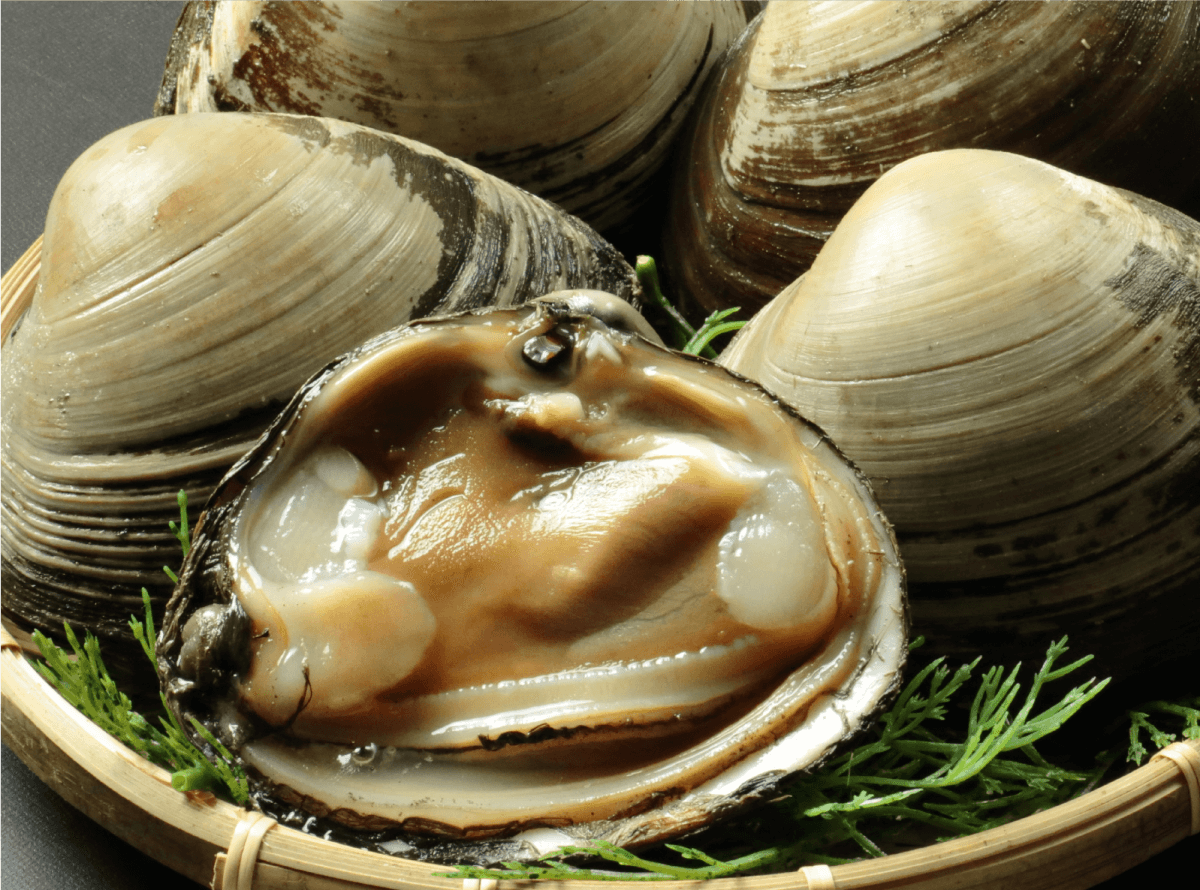 青森県産 ホッキ貝