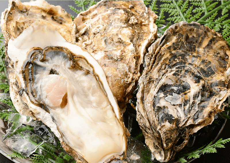 雄勝産 生牡蠣