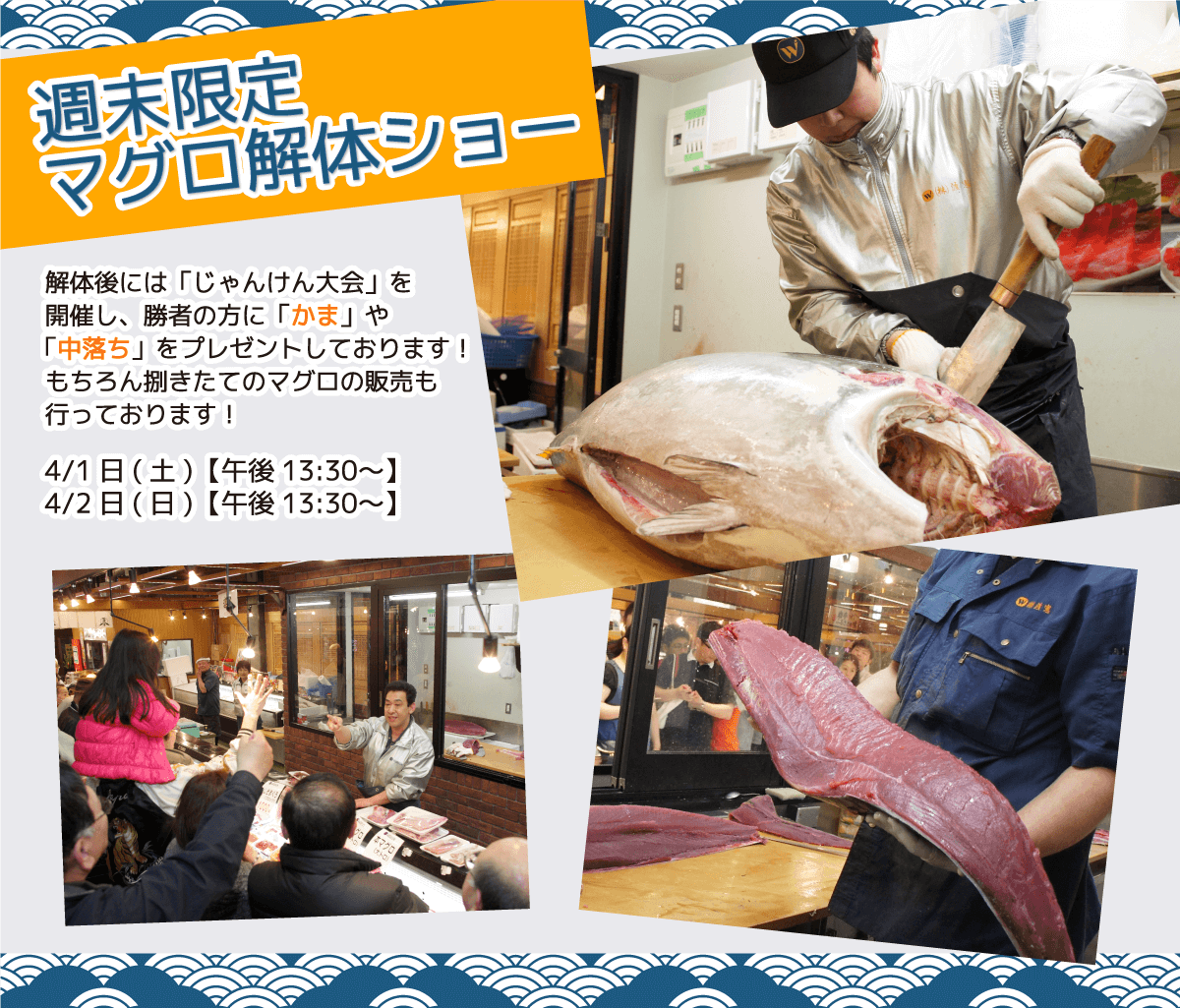 週末恒例の大人気イベント!渡憲 週末限定マグロ解体ショー