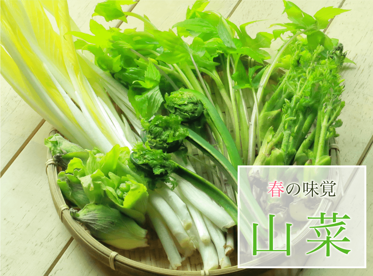 春の味覚 山菜