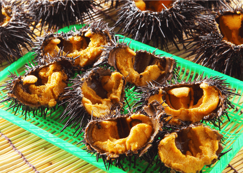 宮城県金華山産 お造り生うに