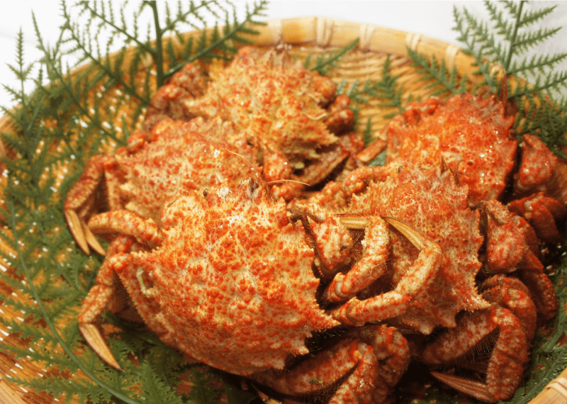 石巻産 ツクモガニ