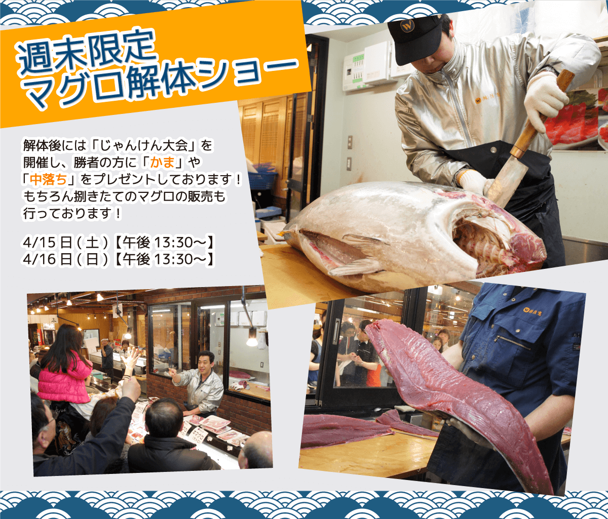 週末恒例の大人気イベント!渡憲 週末限定マグロ解体ショー
