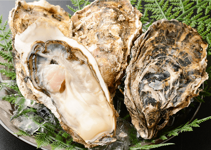狐崎浜産 殻付き牡蠣（生食用）<