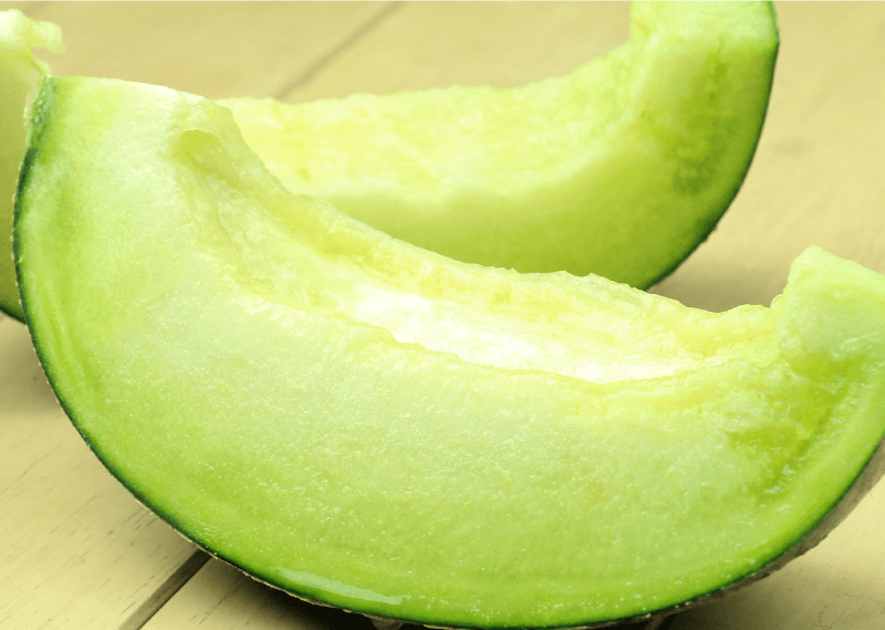 熊本産メロン肥後グリーン