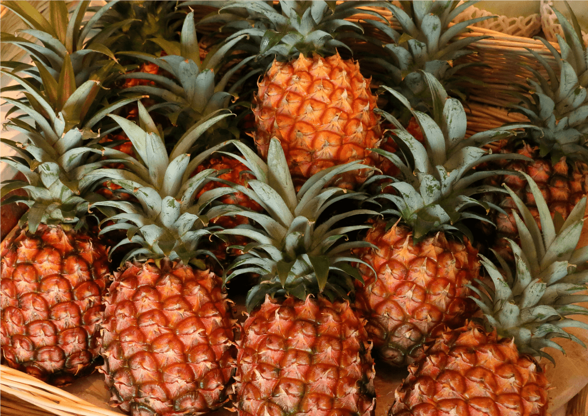 沖縄県産ピーチパイン