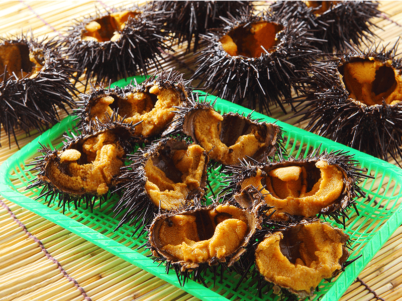 今が旬の金華山産「生うに」