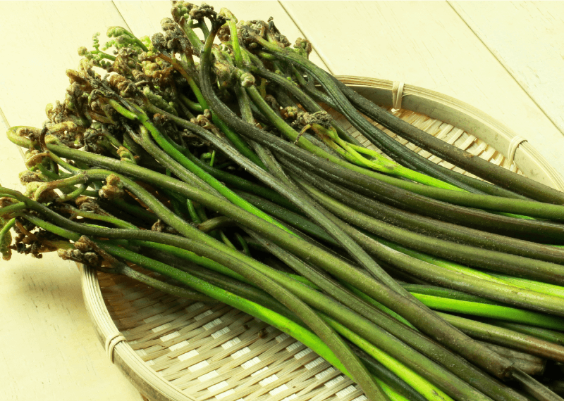 山形県産 わらび