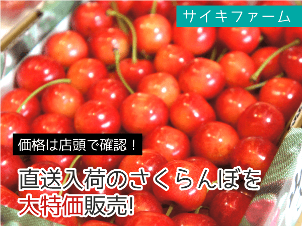 サイキファーム 直送入荷のさくらんぼが大特価販売!