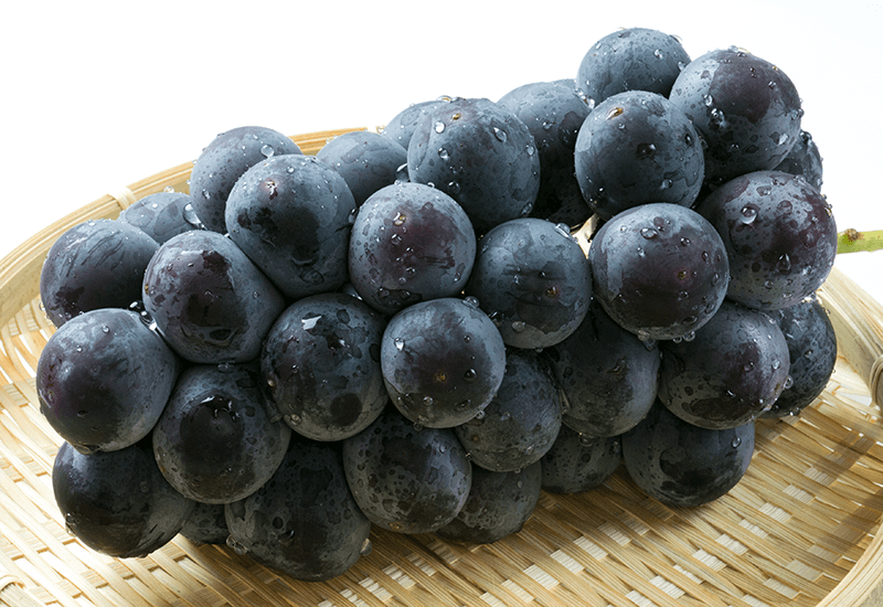 ピオーネ(巨峰)