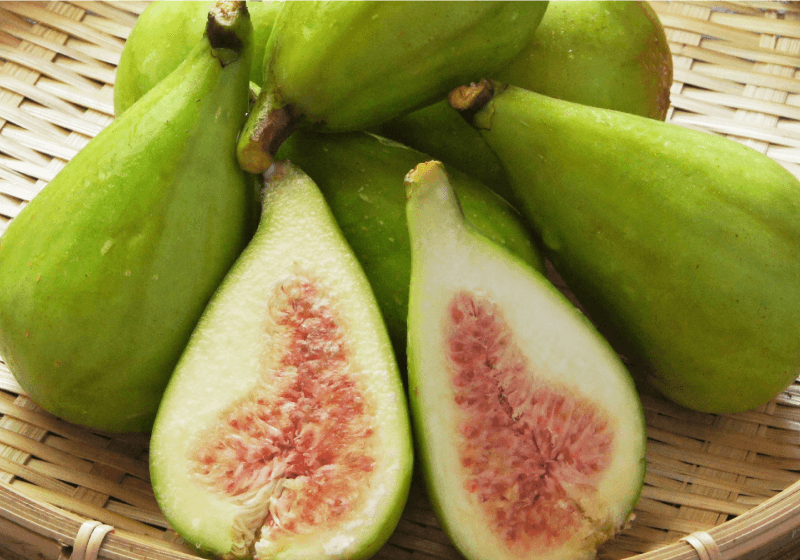 秋の味覚 福島県産 いちじく(加工用)