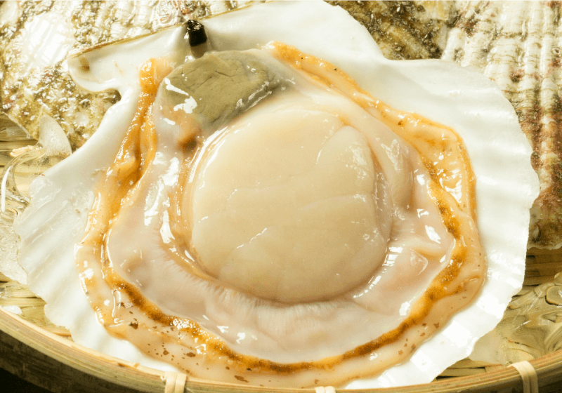 北三陸産 ホタテ