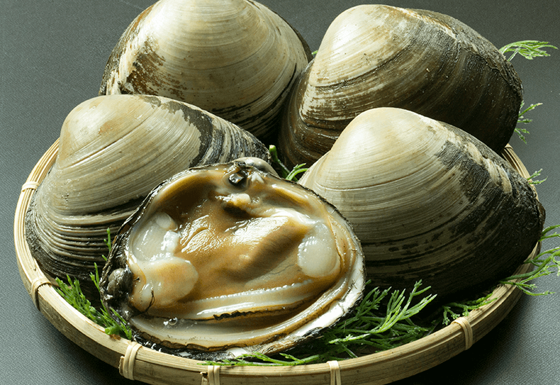 青森県産 ホッキ貝