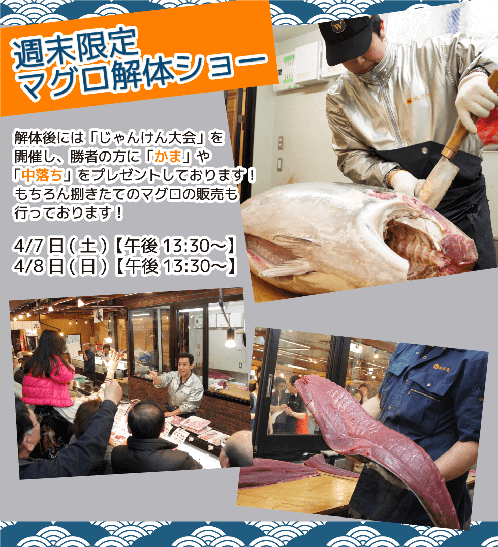 週末恒例の大人気イベント！渡憲 週末限定マグロ解体ショー