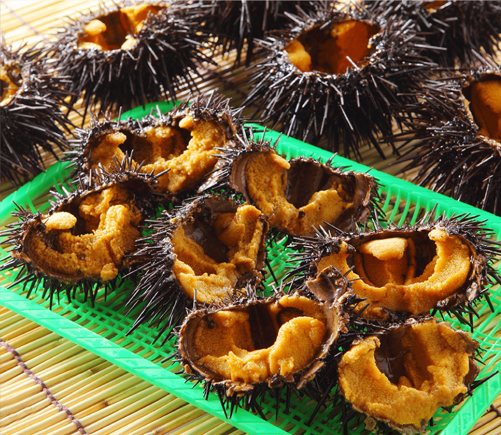 ガゼうに(殻付きウニ)