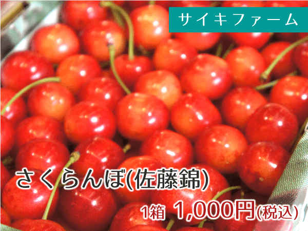 サイキファーム さくらんぼ(佐藤錦) 1箱 1,000円(税込)