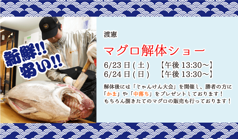 マグロの解体ショー 6/23(土) 6/24(日) 13:30〜