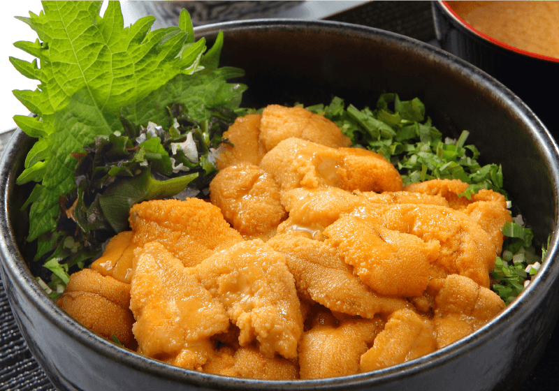 片倉商店の生うに丼