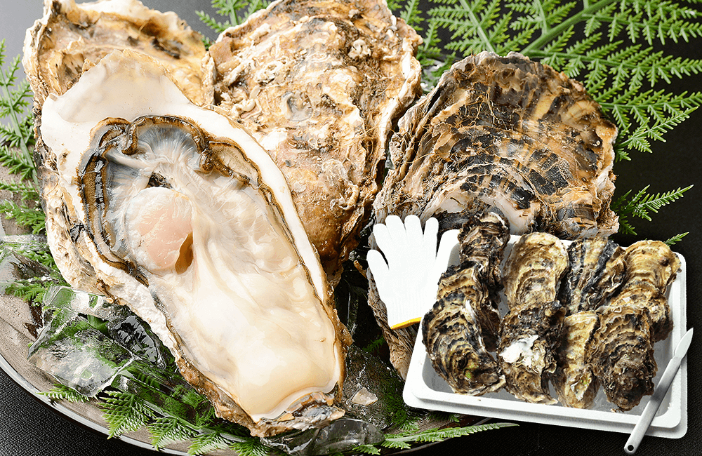 北三陸産特別養殖牡蠣セット