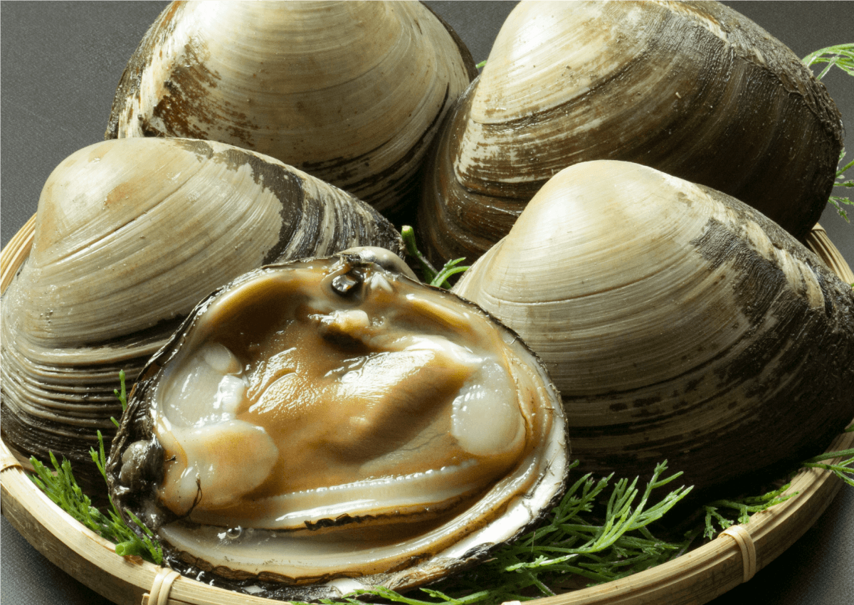 青森県産 ホッキ貝