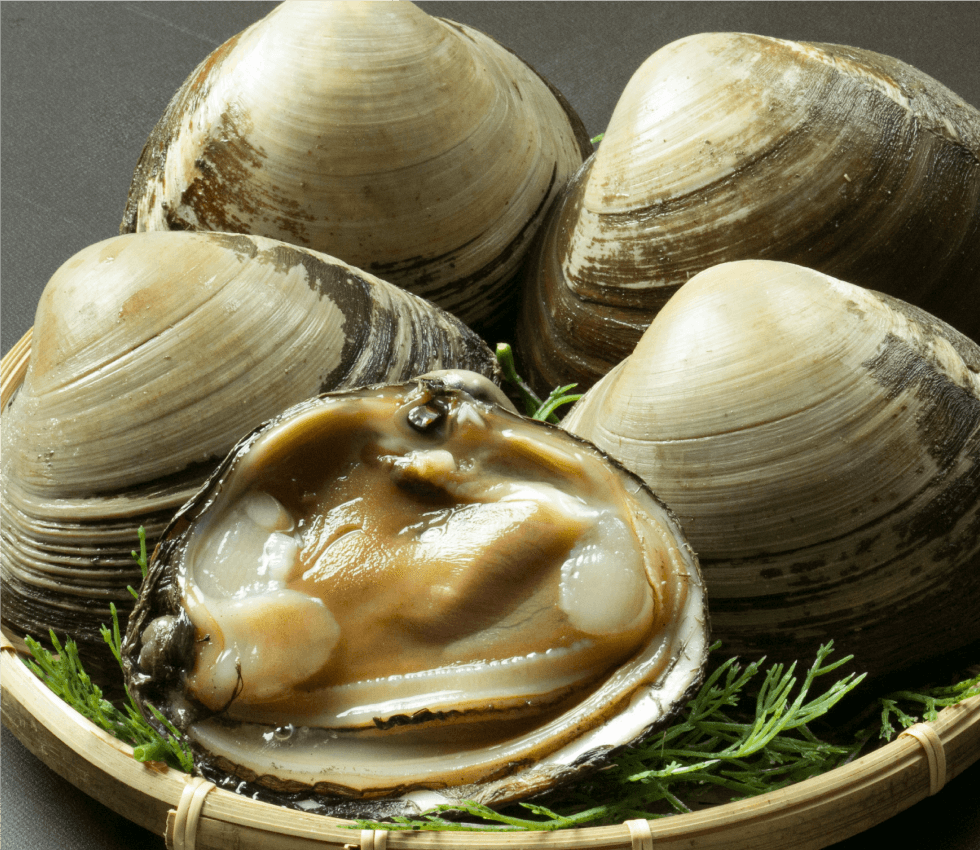 青森県産 ホッキ貝