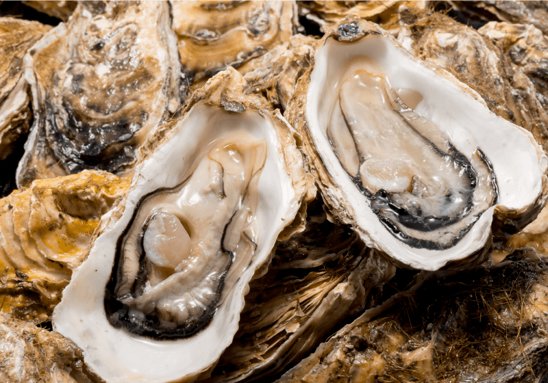 北三陸産 特別養殖牡蠣（生食用)