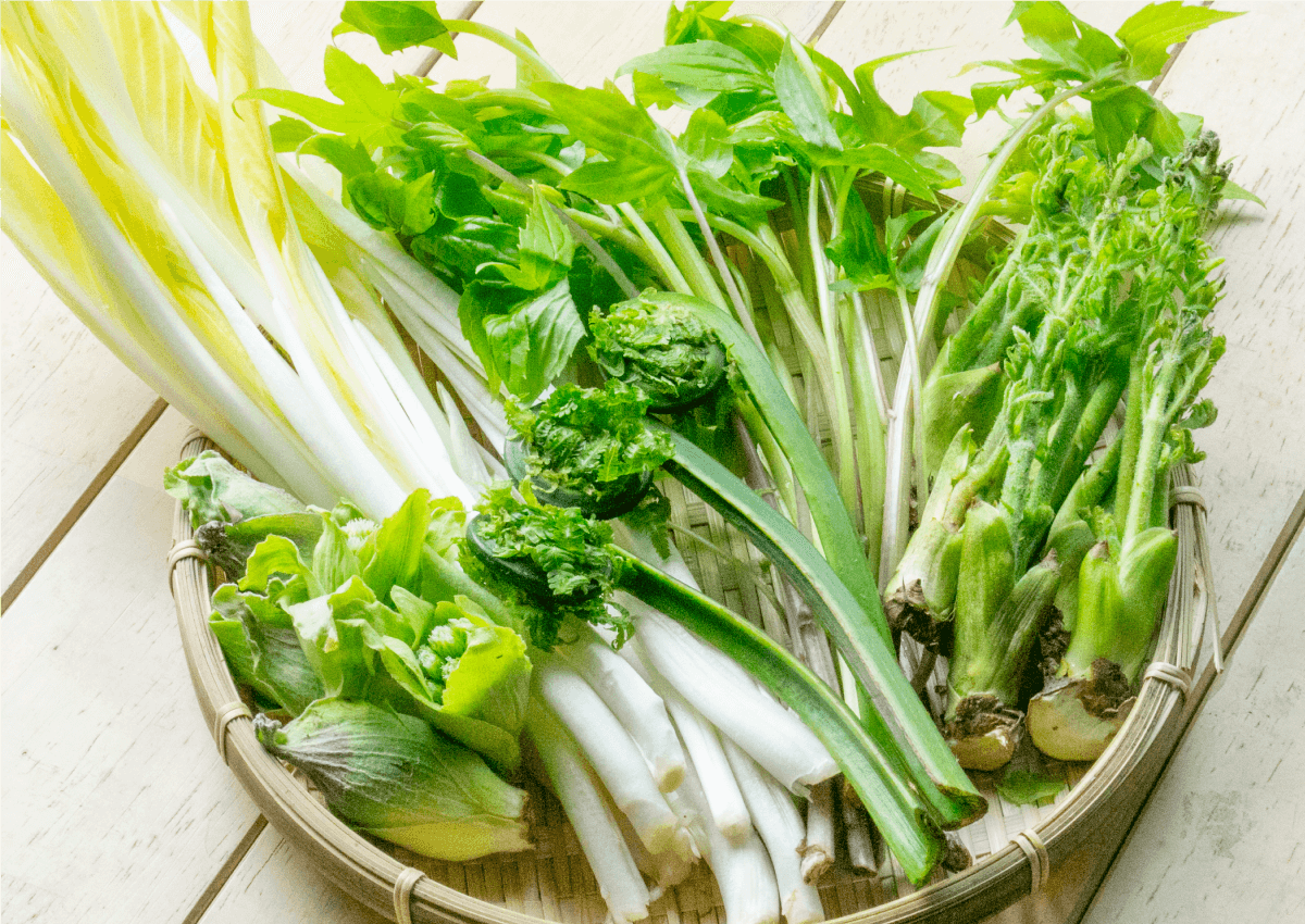 ふきのとう・山うど・たらの芽・こごみ・うるい・行者にんにく