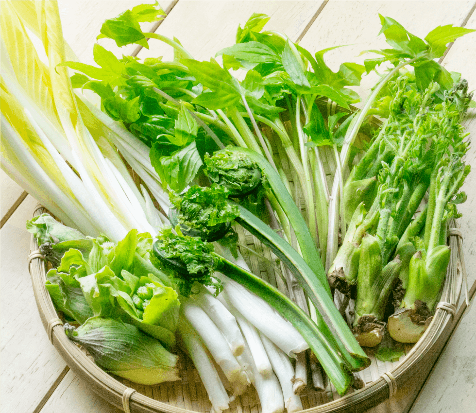ふきのとう・山うど・たらの芽・こごみ・うるい・行者にんにく