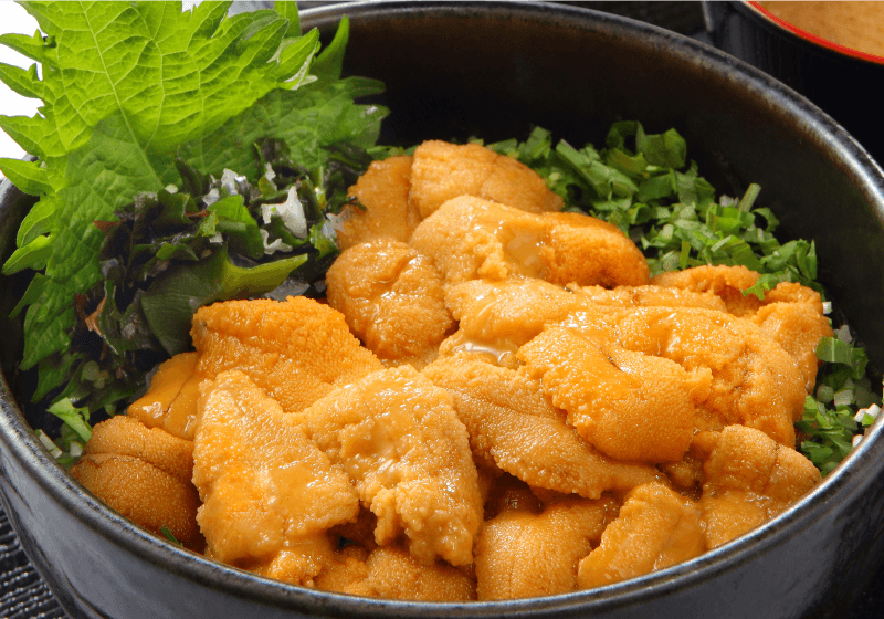 石巻・金華山の生うに丼