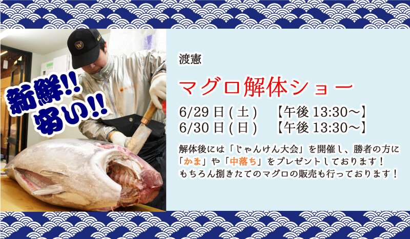 マグロの解体ショー 6/29(土) 6/30(日) 13:30〜