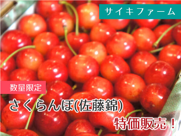 サイキファーム さくらんぼ(佐藤錦) 1箱 1,000円(税込)